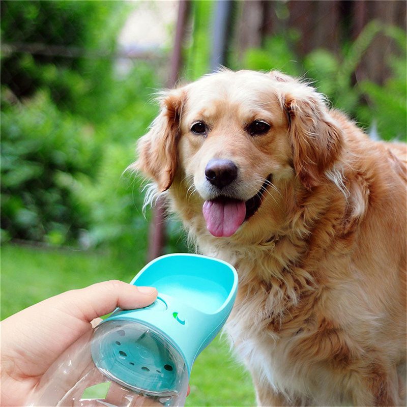 Pet Water Cup Outdoor Portable